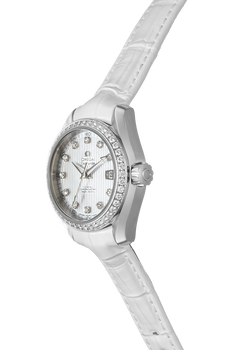 Seamaster Aqua Terra Co-Axial Stainless Steel Automatic