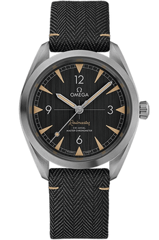 Seamaster Railmaster Co-Axial Master Chronometer 40 MM