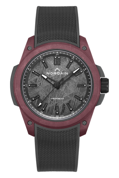 Wild ONE 42mm Meteorite Special Edition