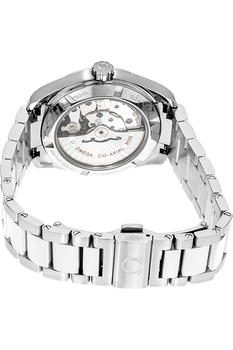 Aqua Terra Master Co-Axial Stainless Steel Automatic 