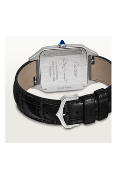 Santos-Dumont, Large Model