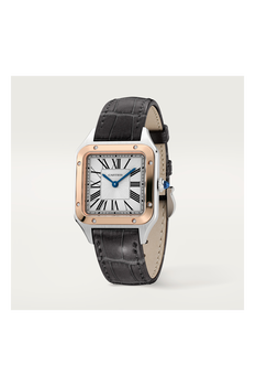 Santos-Dumont, Small Model