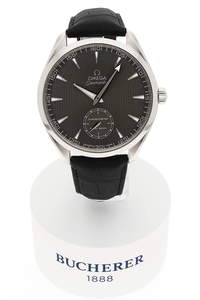 Seamaster Aqua Terra XXL Stainless Steel Manual