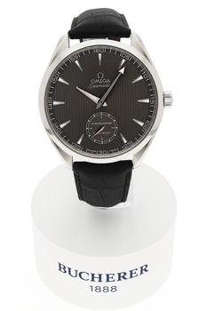 Seamaster Aqua Terra XXL Stainless Steel Manual