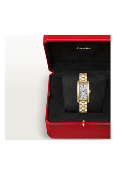 Tank Am&eacute;ricaine, Small Model