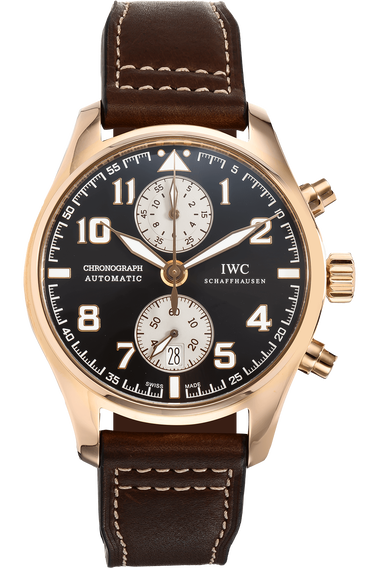 Pilot&#39;s Antoine De Saint Exupery Limited Edition Rose Gold Automatic