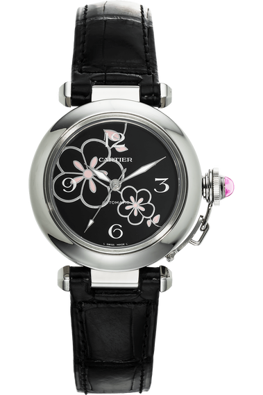 Pasha C Limited Edition Stainless Steel Automatic