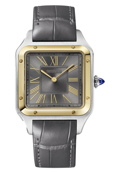 Cartier Santos-Dumont Large Model (W2SA0028)