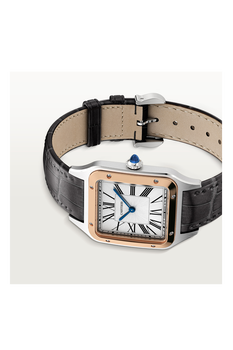 Santos-Dumont, Large Model