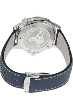 Seamaster Professional Stainless Steel Quartz
