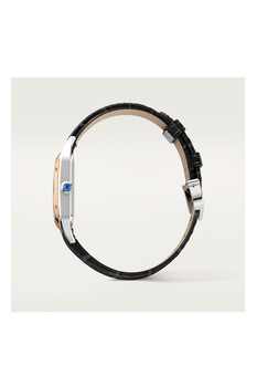 Santos-Dumont, Small Model