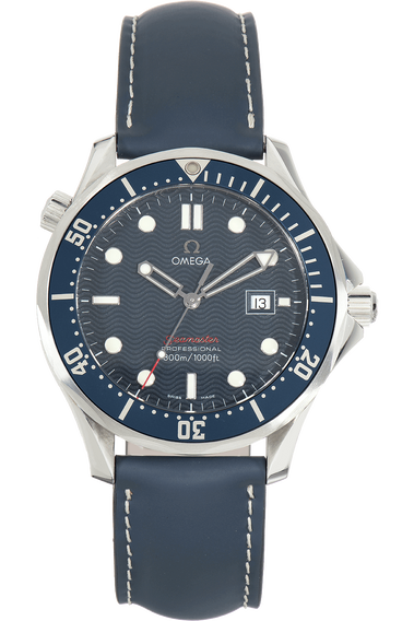 Seamaster Professional Stainless Steel Quartz