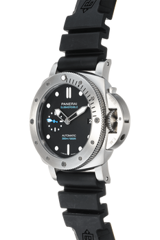 Submersible Stainless Steel Automatic