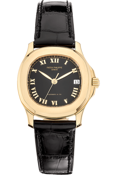 Aquanaut 5060 clearance