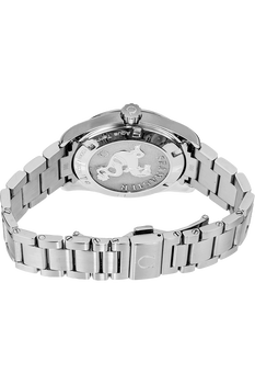 Seamaster Aqua Terra Stainless Steel Quartz