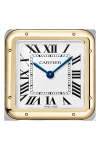 Panthère de Cartier, Yellow Gold & Steel, Large
