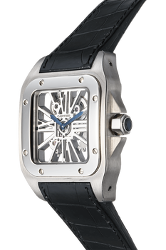 Santos 100 Skeleton Palladium Manual