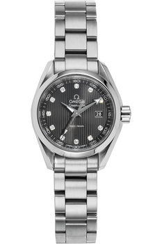 Seamaster Aqua Terra Stainless Steel Quartz