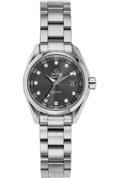 Seamaster Aqua Terra Stainless Steel Quartz