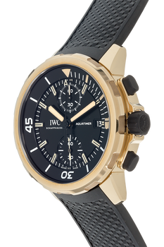 Aquatimer Chronograph Expedition Charles Darwin Bronze