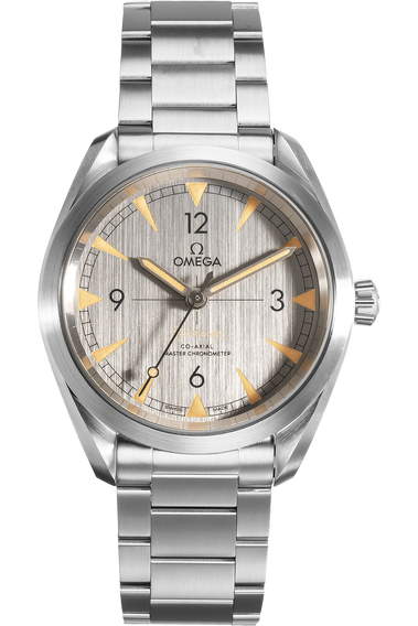 Railmaster Co-Axial Master Chronometer Stainless Steel Automatic