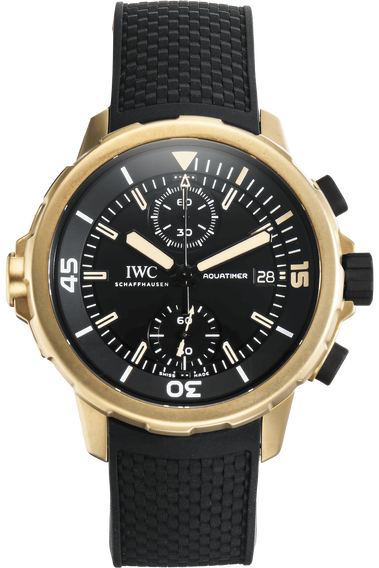 Aquatimer Chronograph Expedition Charles Darwin Bronze Automatic