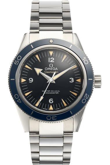Master Co-Axial Titanium Automatic