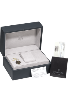 Streamliner Centre Seconds Stainless Steel Automatic