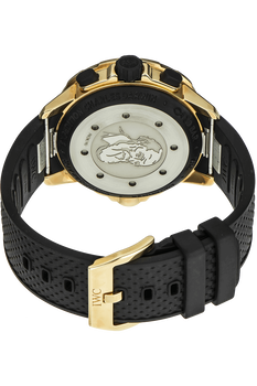 Aquatimer Chronograph Expedition Charles Darwin Bronze Automatic