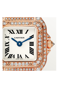 Panth&egrave;re de Cartier, Mini Model