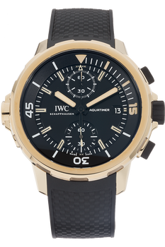 Aquatimer Chronograph Expedition Charles Darwin Bronze