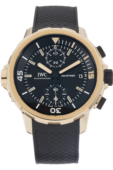 Aquatimer Chronograph Expedition Charles Darwin Bronze
