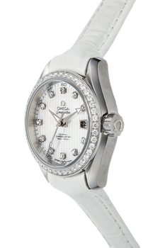 Seamaster Aqua Terra Co-Axial Stainless Steel Automatic