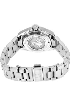 Seamaster Aqua Terra Stainless Steel Quartz