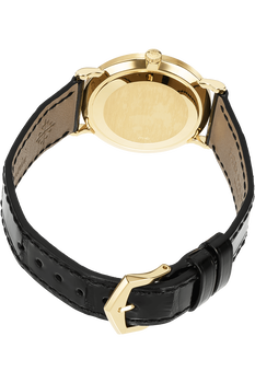 Calatrava Reference 3919 Yellow Gold Manual