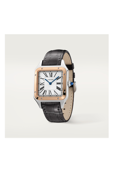 Santos-Dumont, Large Model