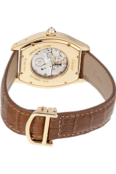 Tortue Yellow Gold Manual