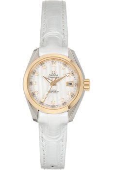 Seamaster Aqua Terra Co-Axial Yellow Gold and Stainless Steel Automatic