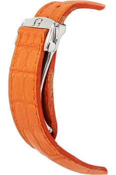 Seamaster Planet Ocean Co-Axial Stainless Steel Automatic