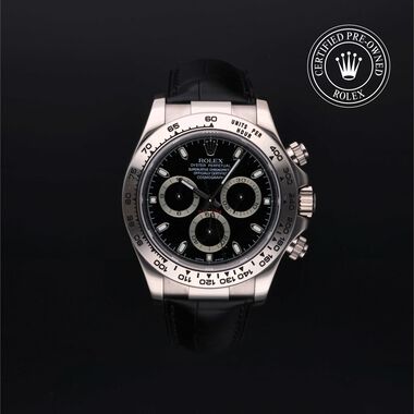 Daytona