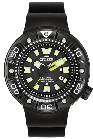 Promaster Diver