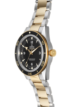 Seamaster Yellow Gold and Stainless Steel Automatic