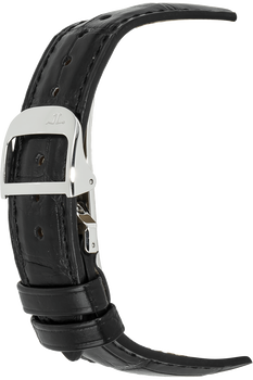 Master Geographic Stainless Steel Automatic