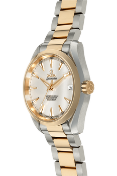 Seamaster Aqua Terra Yellow Gold and Stainless Steel Automatic