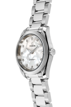 Seamaster Aqua Terra Stainless Steel Quartz