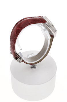 Cle Stainless Steel Automatic