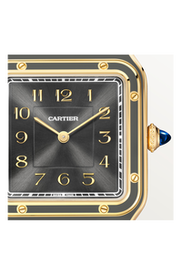 Santos-Dumont, Large Model