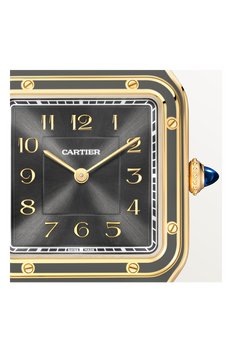 Santos-Dumont, Large Model