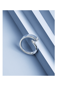 Inner Fire Ring