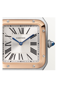 Santos-Dumont, Small Model